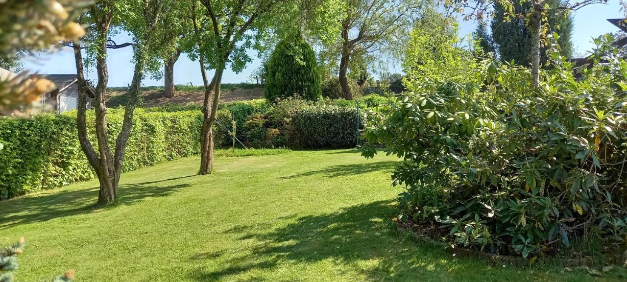 Gite Les Sittelles Tenneville Zewnętrze zdjęcie